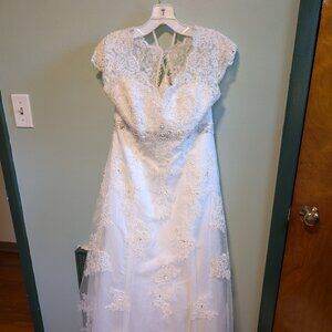 Wedding Dress and Veil